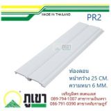 รูป 1