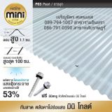 รูป 1
