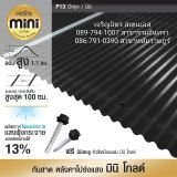 รูป 13