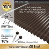 รูป 10