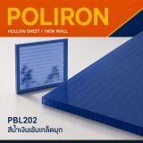 รูป 17